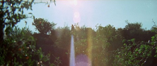 0yS14.jpg